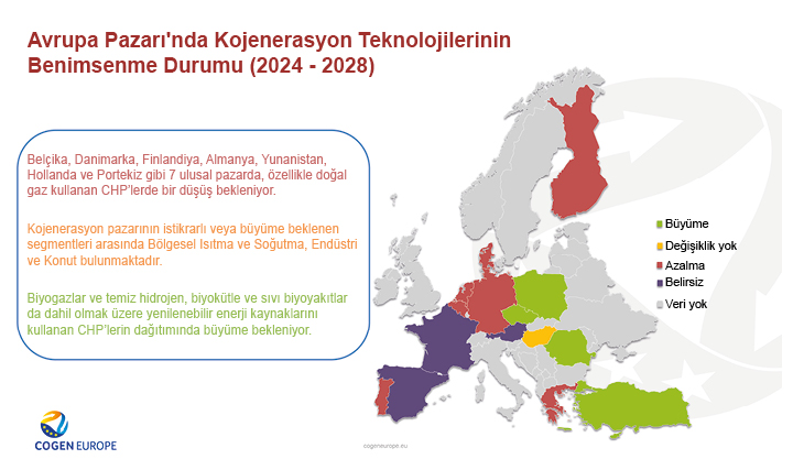 COGEN COGEN AVRUPA Avrupa Anlık Görünüm Araştırması